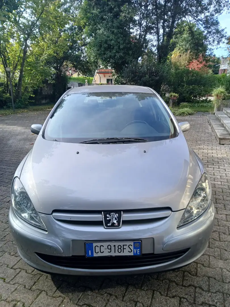 Peugeot 307 307 5p 1.6 16v XS Argento - 1
