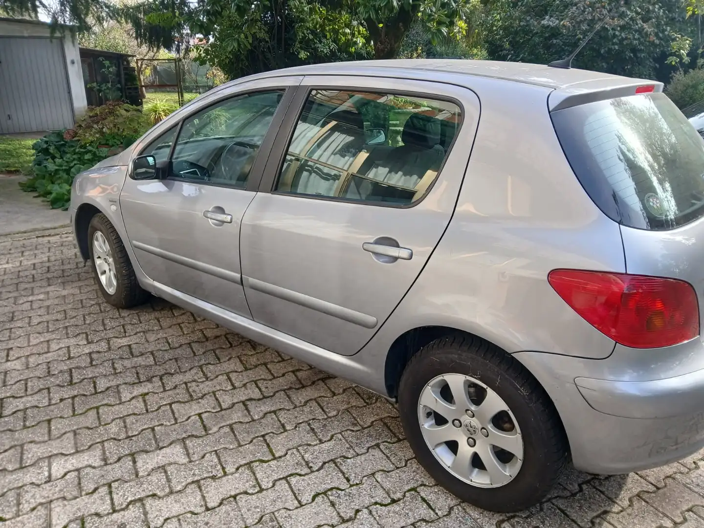 Peugeot 307 307 5p 1.6 16v XS Argento - 2