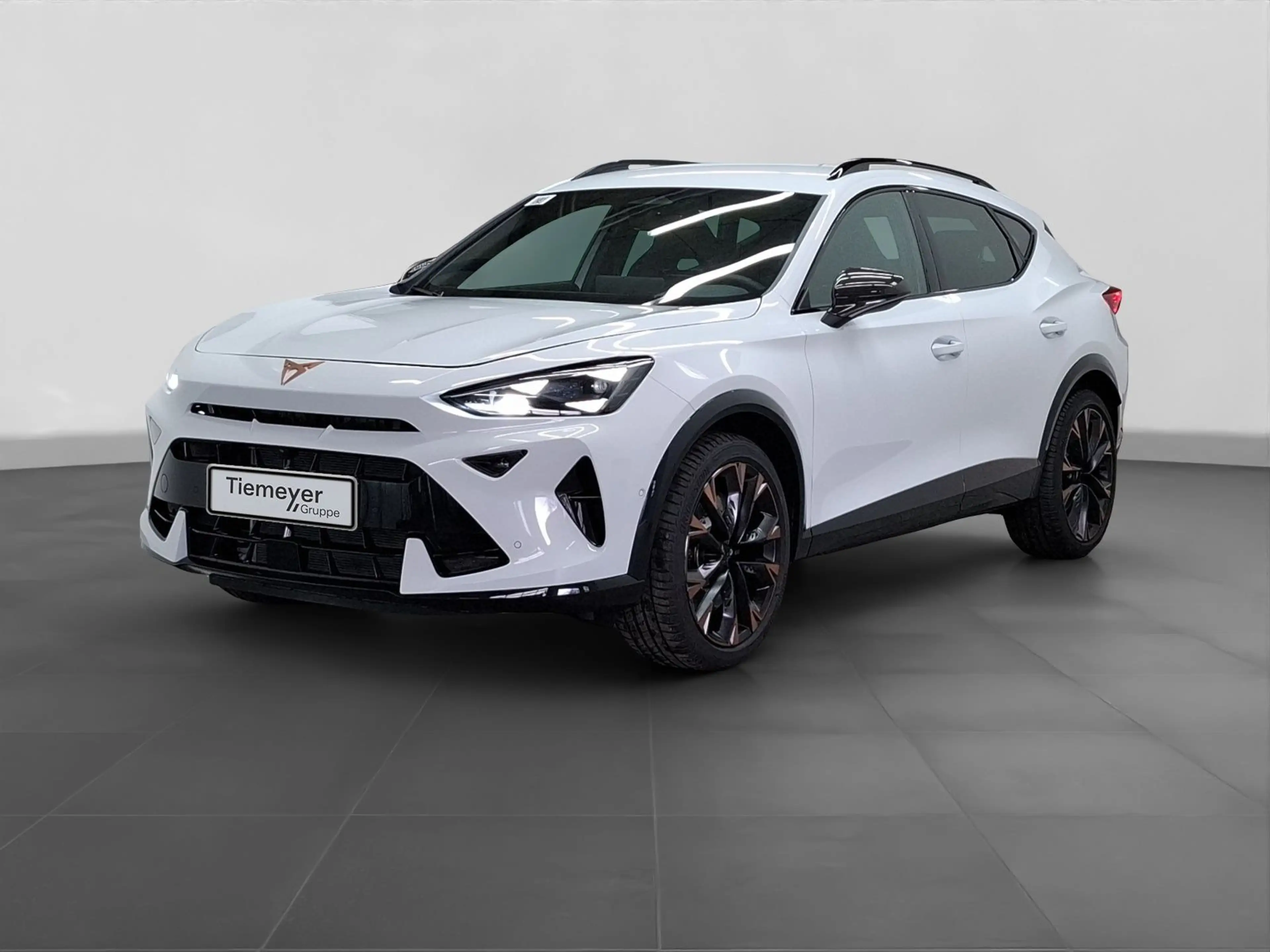 CUPRA Formentor 2.0 TSI DSG VZ 4DRIVE AREA VIEW SENNHE — photo 2