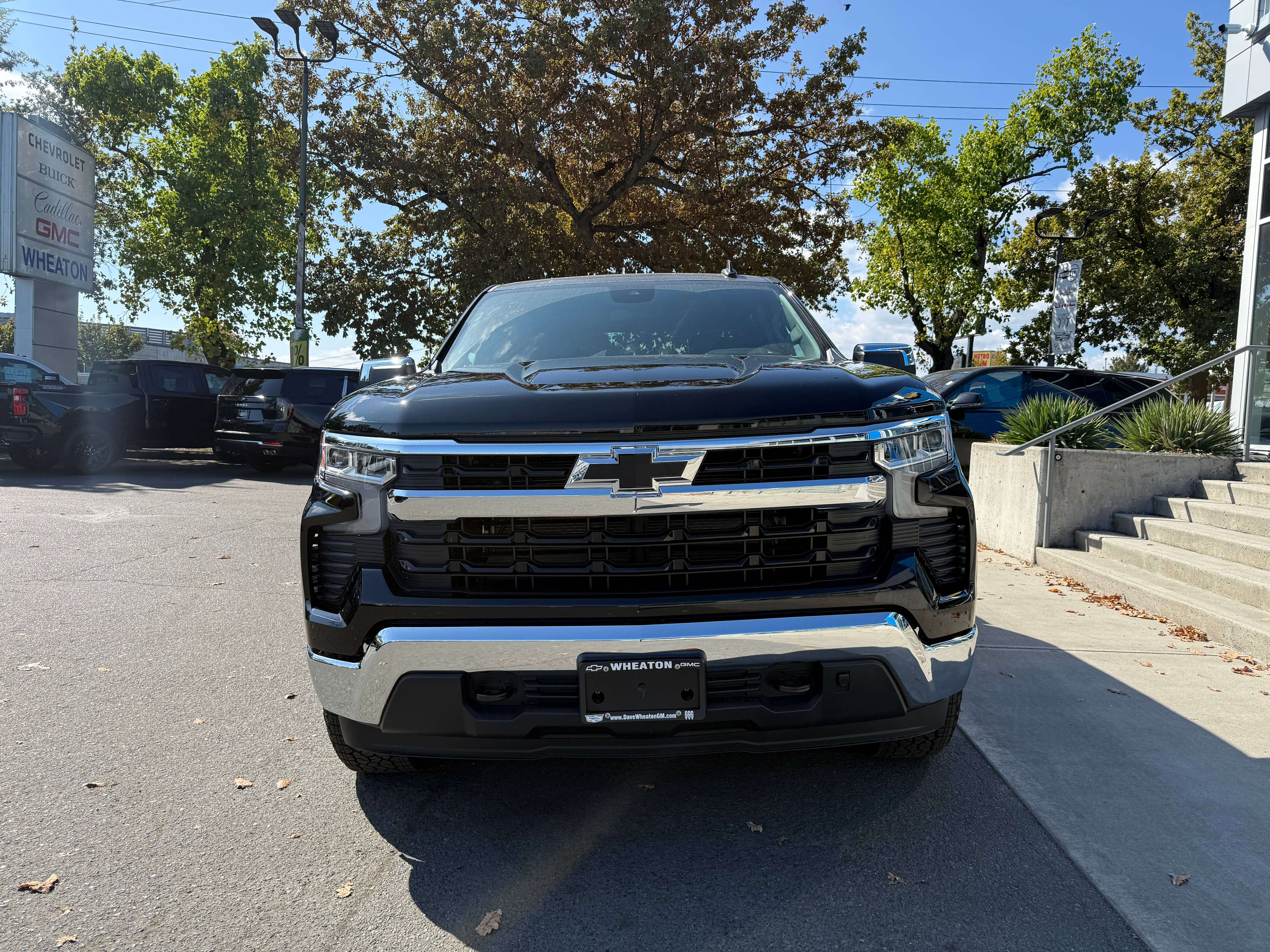 Image 11