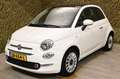 Fiat 500 1.2 Lounge | Panorama | Airco Weiß - thumbnail 4