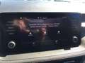 Skoda Fabia FABIA STYLE PLUS 16ZOLL 2xPDC SHZ KLIMAAUTOMATIC Grau - thumbnail 30