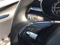 Skoda Fabia FABIA STYLE PLUS 16ZOLL 2xPDC SHZ KLIMAAUTOMATIC Grau - thumbnail 28