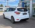 Ford Kuga 2,0 TDCi ST-Line Start/Stop Weiß - thumbnail 7