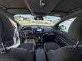 Ford Kuga 2,0 TDCi ST-Line Start/Stop Weiß - thumbnail 13