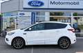 Ford Kuga 2,0 TDCi ST-Line Start/Stop Weiß - thumbnail 4
