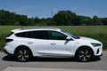Ford Focus Active Weiß - thumbnail 3