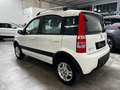 Fiat Panda II 2003 1.2 natural power Climbing Bianco - thumbnail 3