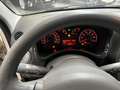 Fiat Panda II 2003 1.2 natural power Climbing Bianco - thumbnail 13