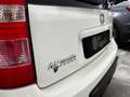 Fiat Panda II 2003 1.2 natural power Climbing Bianco - thumbnail 6