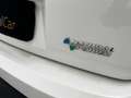 Fiat Panda II 2003 1.2 natural power Climbing Bianco - thumbnail 5