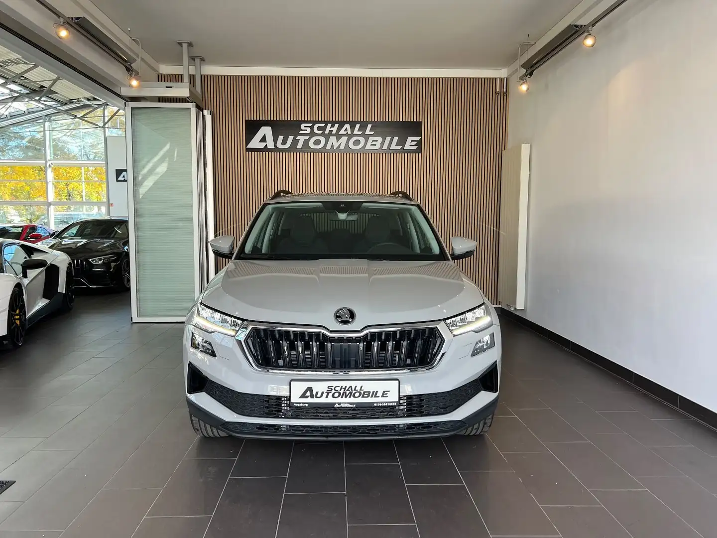 Skoda Karoq Selection/LED/LHZ/ASSISTENT/DAB/CAM/PDC Grau - 2