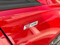Ford Fiesta Fiesta VII 2017 5p 5p 1.0 ecoboost ST-Line s Rosso - thumbnail 13