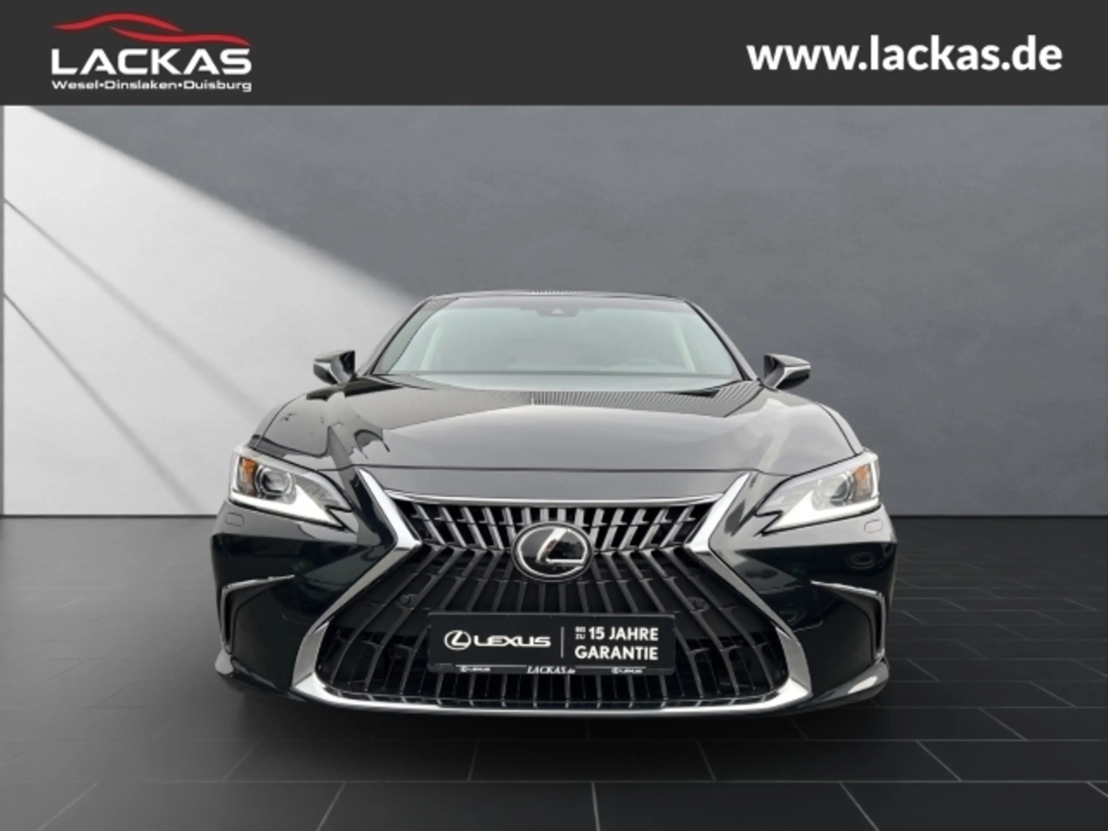 Lexus ES 300 300h Business Line — photo 8