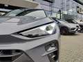 CUPRA Terramar 2.0 TSI 4D DSG *PANO*SENNHEISER*HuD* Gris - thumbnail 8