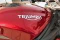 Triumph Speed Triple 1200 RS inkl. Kundenvorteil 1200€ Rojo - thumbnail 13