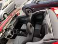 Peugeot 206 Cabriolet CC Filou  CC Filou - thumbnail 9
