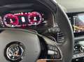 Skoda Kodiaq 2,0 TDI 4x4 Sportline DSG AHV/AVV/Memory/ Gris - thumbnail 14