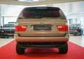 BMW X5 4.4i Sportpaket PDC Xenon Navi Kamera Braun - thumbnail 7