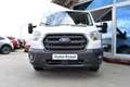 Ford Transit 310 L2VA DoKa Trend Pritsche 6-Sitzer Klima Tempom Bianco - thumbnail 9