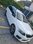 Skoda Octavia Octavia Wagon 2.0 tdi cr RS Bianco - thumbnail 2