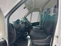 Fiat Ducato 140 Multijet L4H2|Klima|TempomatKamera Weiß - thumbnail 7