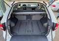 Renault Koleos 2.0l dci 150cv fap exception Weiß - thumbnail 8