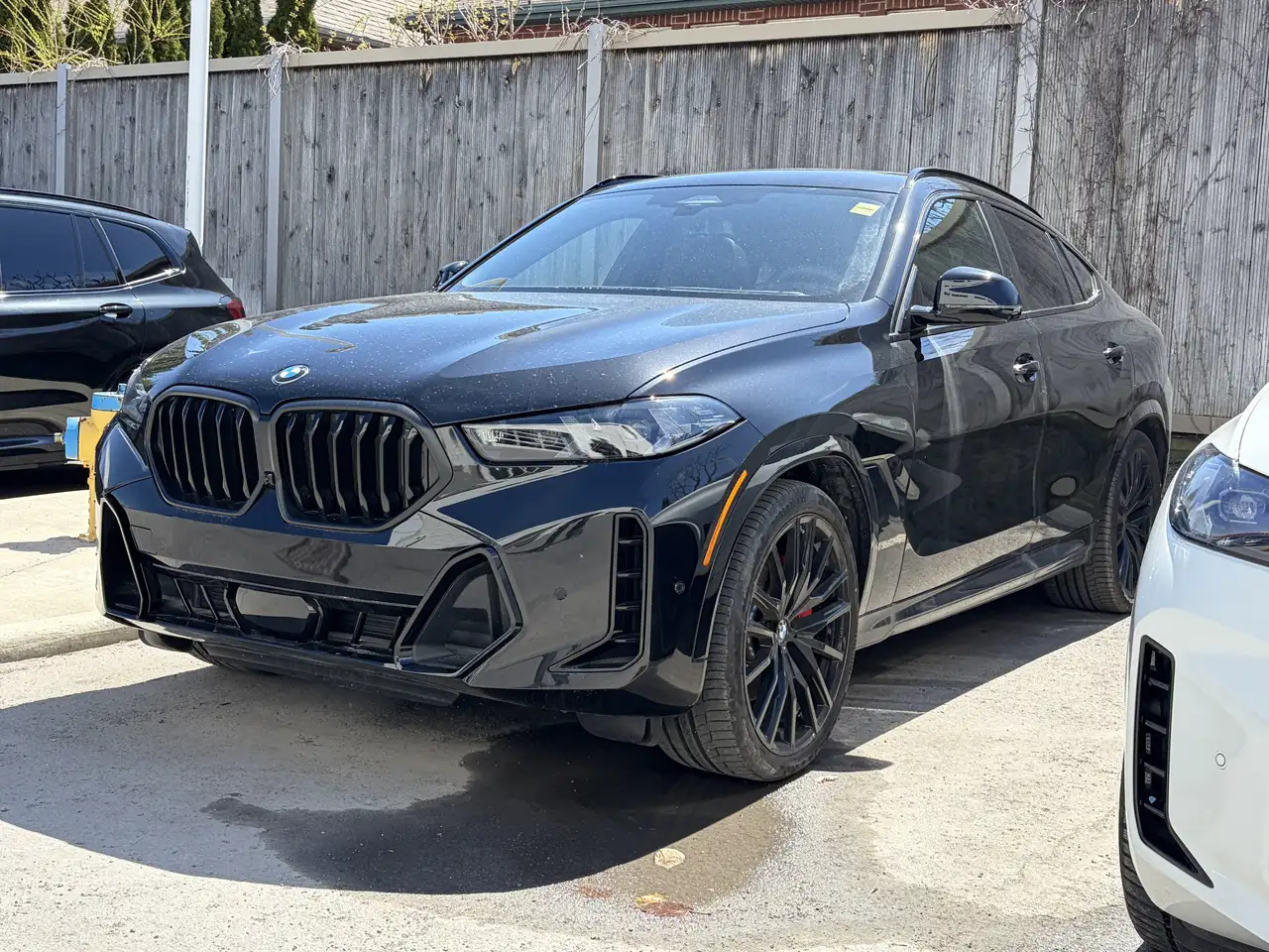 2026 BMW X6