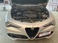 Alfa Romeo Stelvio Alfa Romeo Stelvio 2.2 JTDM Q4 B-Tech - thumbnail 11