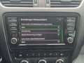 Skoda Octavia Combi RS Sport DSG Pano ACC Spur 18 Grau - thumbnail 42