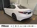 Alfa Romeo Giulia Veloce 2.0 Turbo Q4 HARMAN KARDON MEMORY NAVI KAME Weiß - thumbnail 4