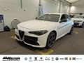 Alfa Romeo Giulia Veloce 2.0 Turbo Q4 HARMAN KARDON MEMORY NAVI KAME Weiß - thumbnail 1