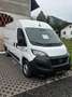 Fiat Ducato Ducato 33 L2 140 Weiß - thumbnail 1
