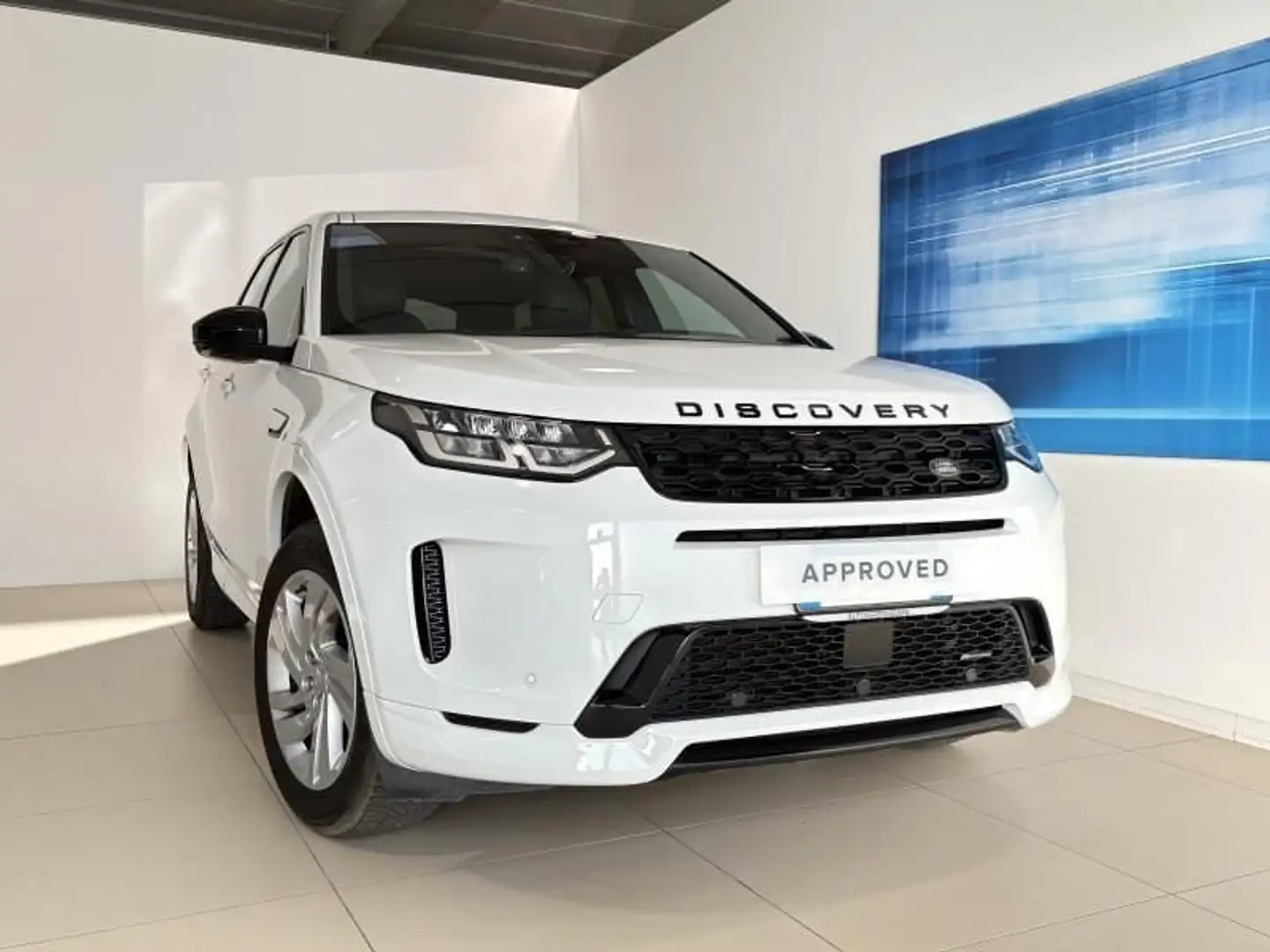 Land Rover Discovery Sport 2.0 TD4 163 R-Dynamic S - 1
