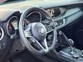 Alfa Romeo Stelvio 2.2 t 160cv rwd automatica my19 Grijs - thumbnail 13