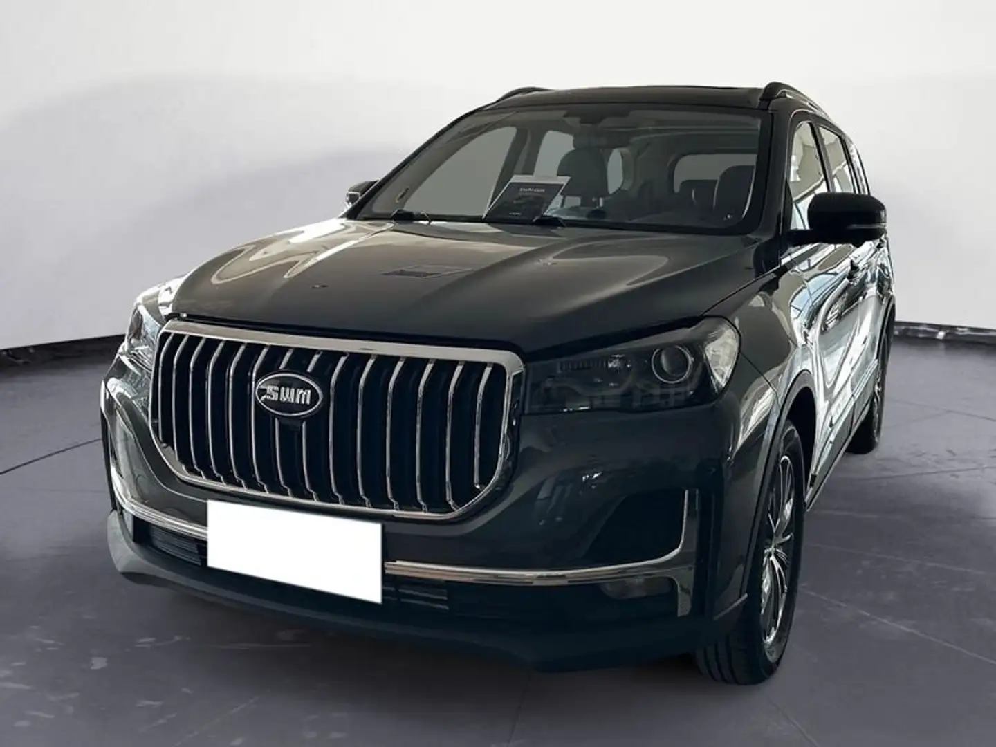 SWM G05 G05 1.5 139cv mt Gris - 2