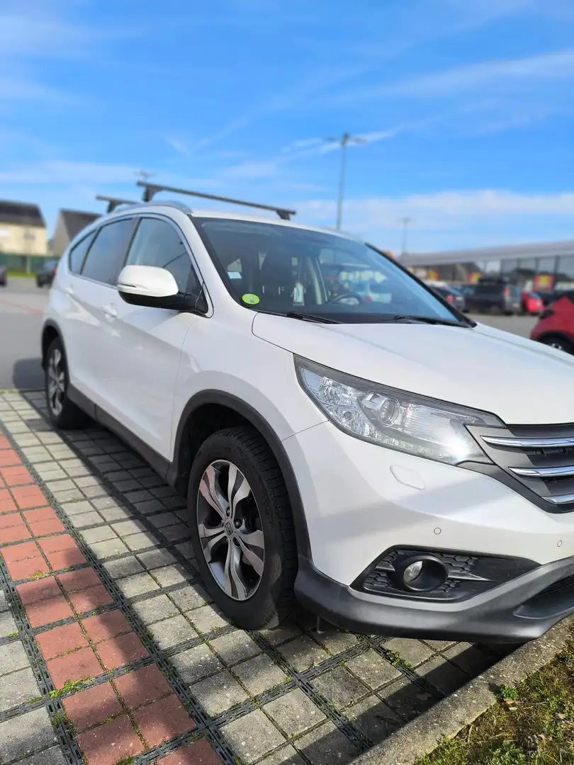 Honda CR-V CR-V 1.6  i-DTEC 2WD Executive Navi Blanc - 1