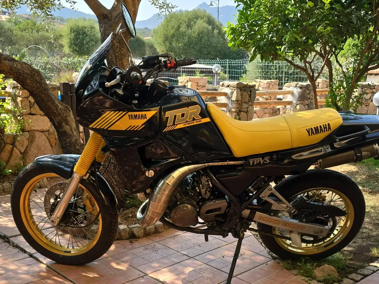 Yamaha TDR 250