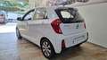 Kia Picanto 1.2 Sporty Blanc - thumbnail 6