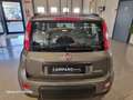 Fiat Panda 1.0  hybrid City Life OK NEOPATENTATI KM 23000 Grigio - thumbnail 14