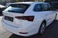 Skoda Octavia Combi 2,0 TDI Premium DSG Weiß - thumbnail 6