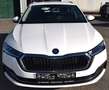 Skoda Octavia Combi 2,0 TDI Premium DSG Weiß - thumbnail 2