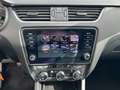 Skoda Octavia III Combi 2.0 TDI DSG SOLEIL *TEMPO *LM *SHZ *DAB Grau - thumbnail 12