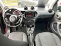 smart forTwo EQ  cabrio Cool&Audio/Plus-Paket/ Rouge - thumbnail 12