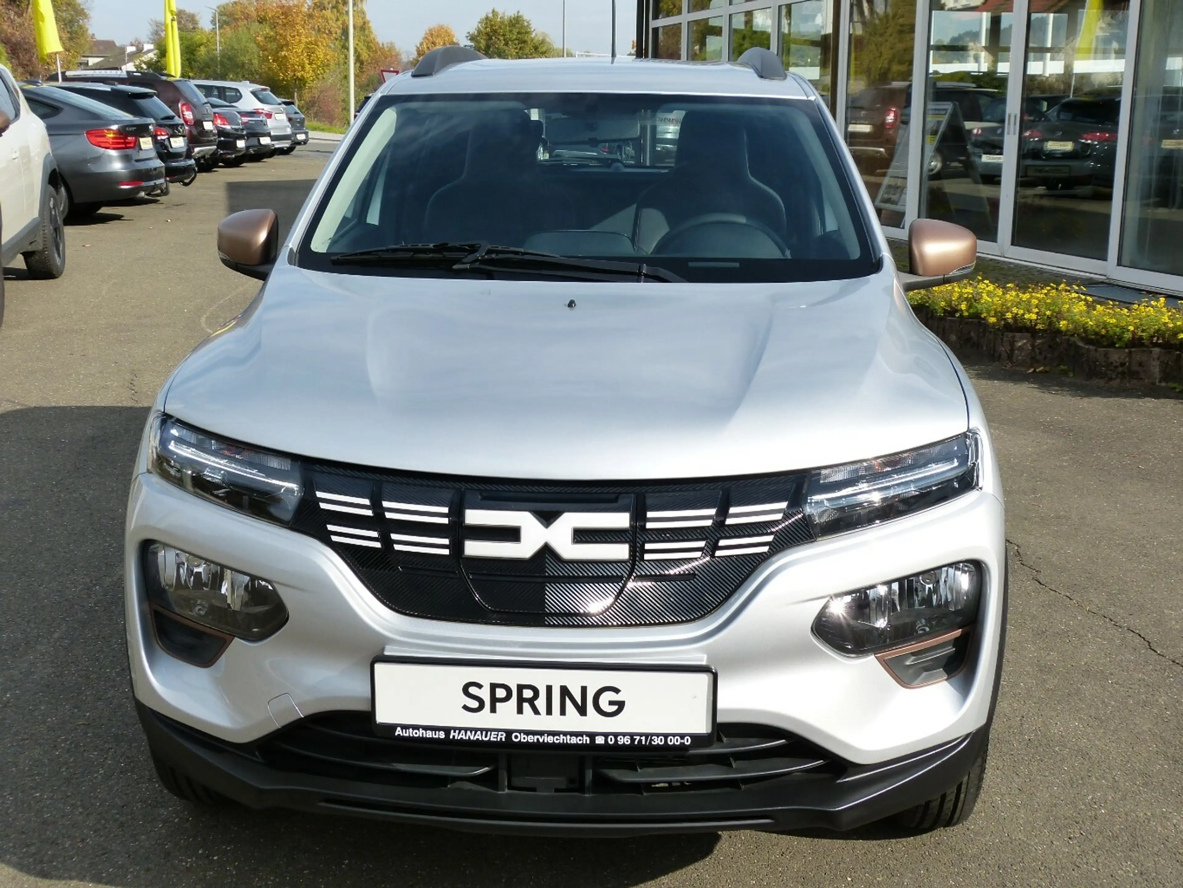 Dacia Spring Extreme 65 [CAM/CCS/FRUNK/1.HAND] — photo 2