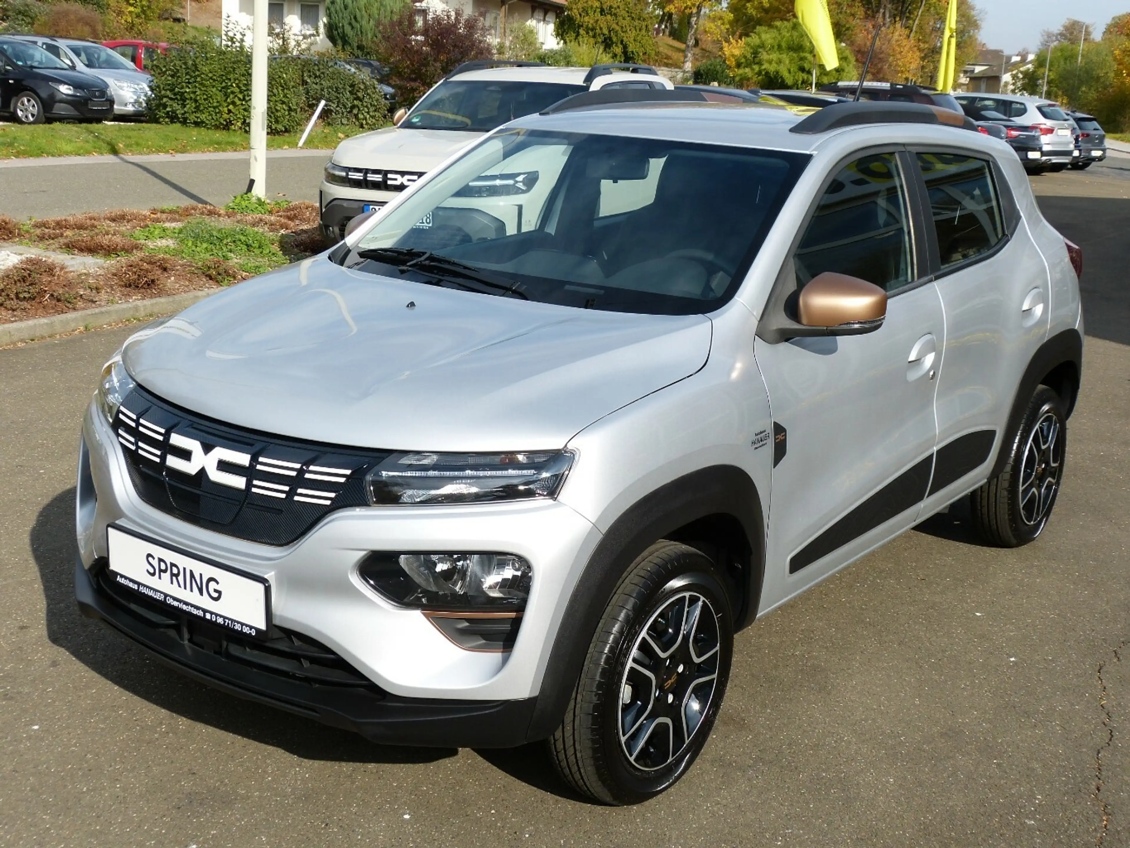 Dacia Spring Extreme 65 [CAM/CCS/FRUNK/1.HAND]