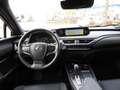Lexus UX 300e Luxury Paket 360Grad Leder Headup Albastru - thumbnail 14
