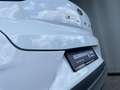 Ford Puma Titanium Weiß - thumbnail 20