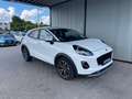Ford Puma Titanium Weiß - thumbnail 7