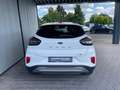 Ford Puma Titanium Weiß - thumbnail 10